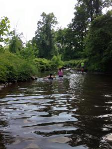 11053858_10206608779123214_2412893675713051052_n