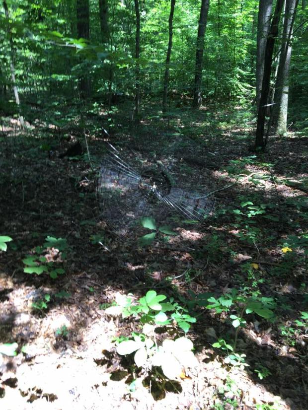 13892154_10208326687183835_5300029700226222076_n